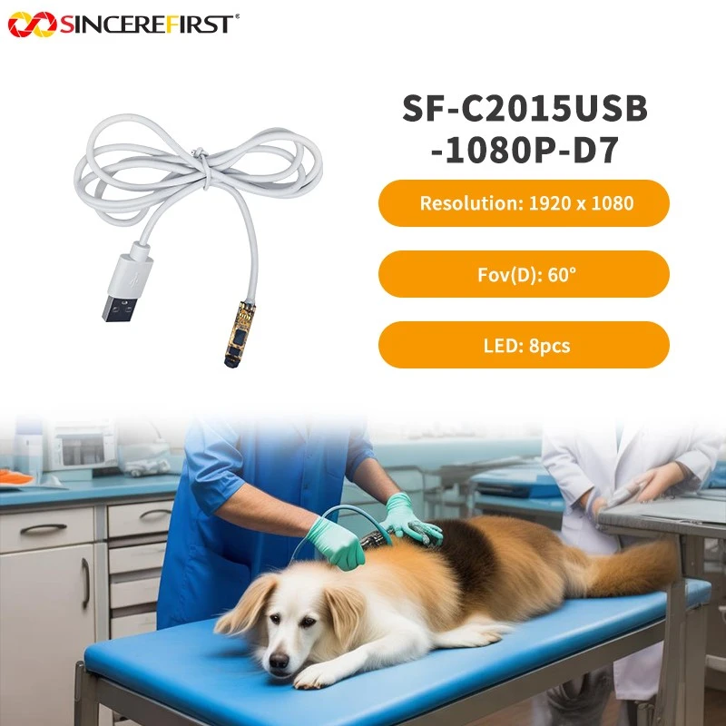 product-800-800 product-800-800